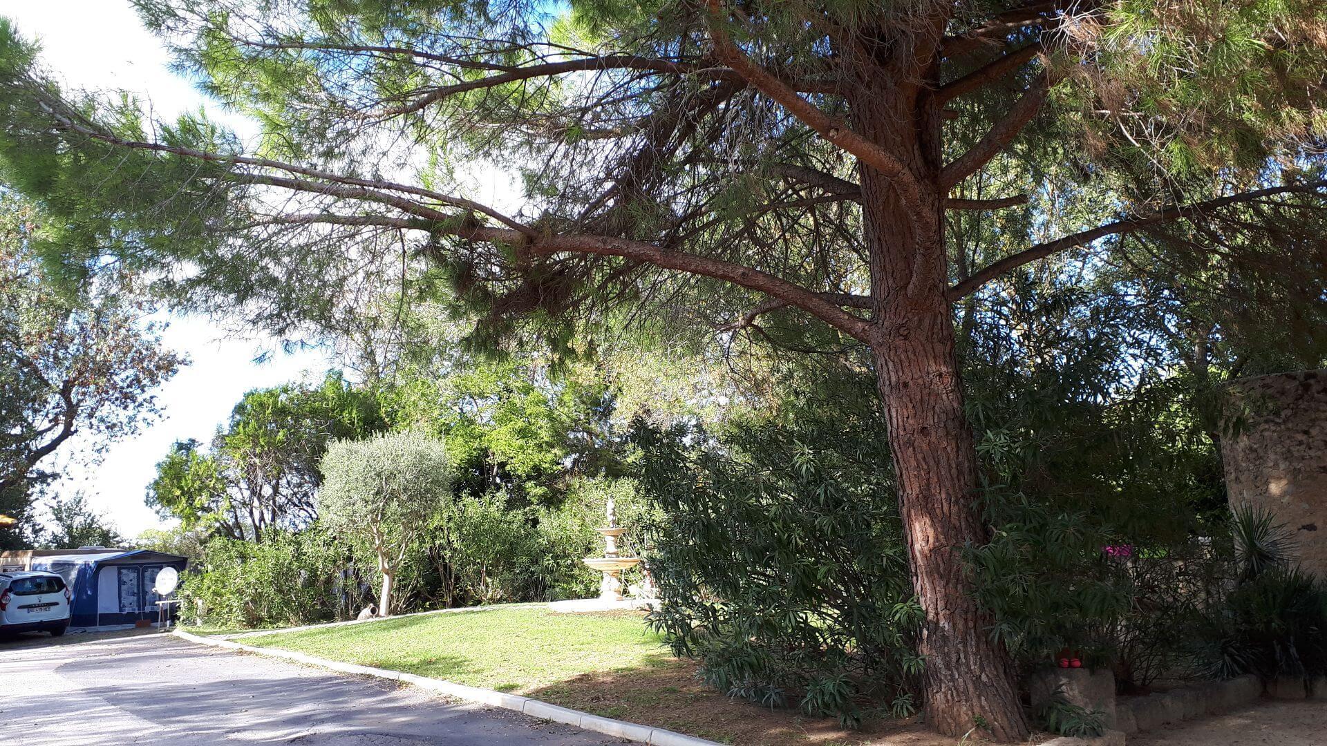 amping nature Sète