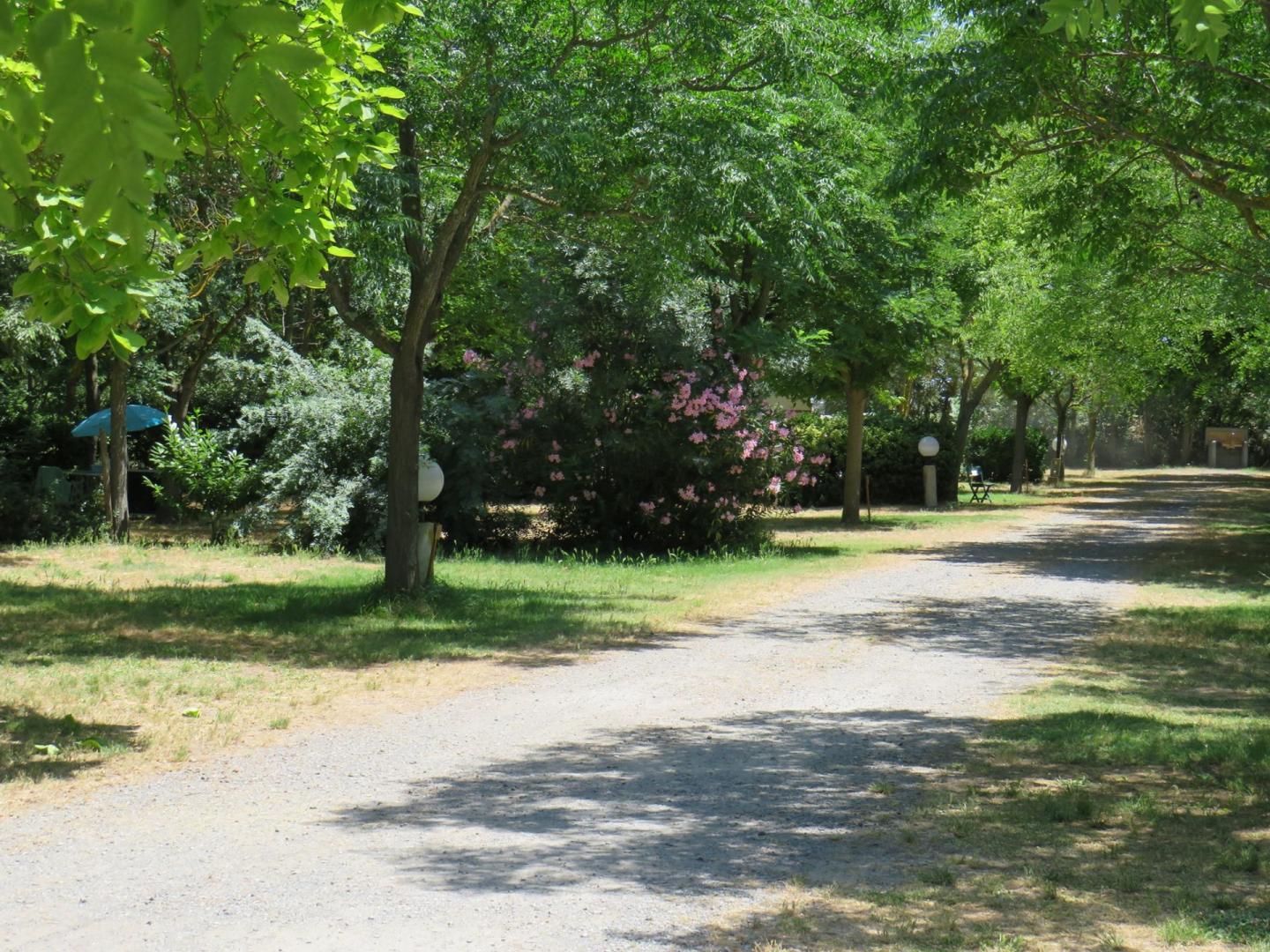 Camping vignoble Sète